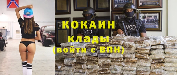 бошки Верея